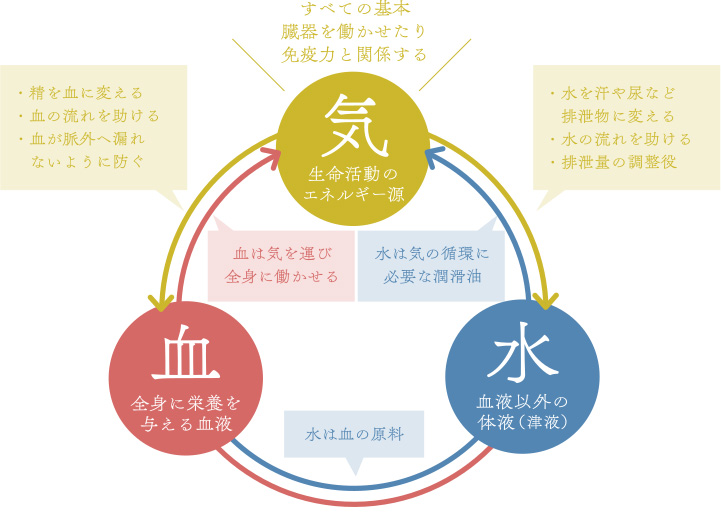 東洋医学